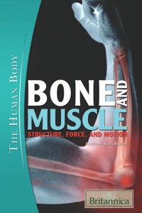 表紙画像: Bone and Muscle 1st edition 9781615302499