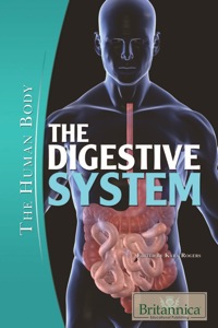 Omslagafbeelding: The Digestive System 1st edition 9781615302529