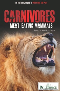 Cover image: Carnivores 1st edition 9781615303854