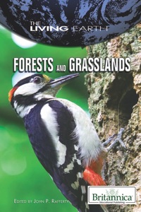 صورة الغلاف: Forests and Grasslands 1st edition 9781615303946
