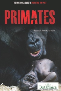 Imagen de portada: Primates 1st edition 9781615304080