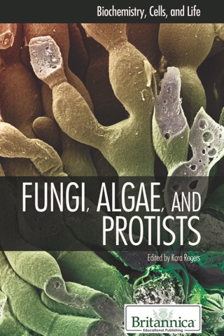 Omslagafbeelding: Fungi, Algae, and Protists 1st edition 9781615304639