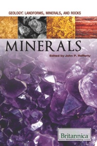 Titelbild: Minerals 1st edition 9781615305827