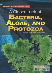 Cover image: A Closer Look at Bacteria, Algae, and Protozoa 1st edition 9781615305841
