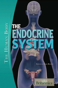 صورة الغلاف: The Endocrine System 1st edition 9781615307319