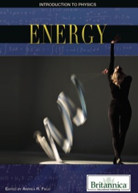 صورة الغلاف: Energy 1st edition 9781615307326