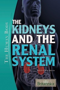 Immagine di copertina: The Kidneys and the Renal System 1st edition 9781615307395