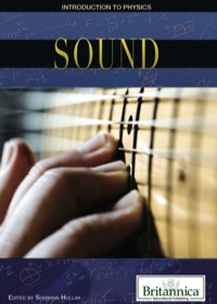 Cover image: Sound 1st edition 9781615308453