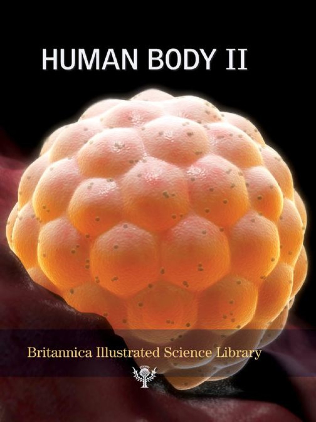 Human Body II 2nd Edition