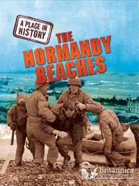 Cover image: The Normandy Beaches 1st edition 9781615356003