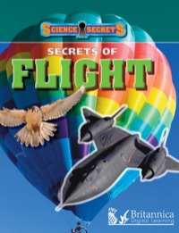 Imagen de portada: Secrets of Flight 1st edition 9781615356300