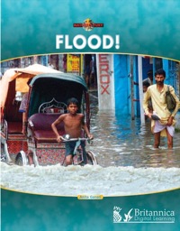 Cover image: Flood! 1st edition 9781615356492
