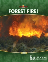 Imagen de portada: Forest Fire! 1st edition 9781615356508