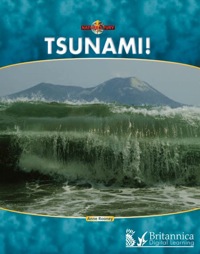 Cover image: Tsunami! 1st edition 9781615356522