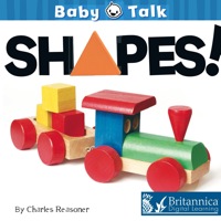 Cover image: Shapes! 1st edition 9781617418693