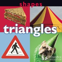 Imagen de portada: Shapes: Triangles 1st edition 9781600445286
