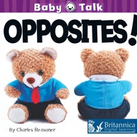 Cover image: Opposites! 1st edition 9781612360539