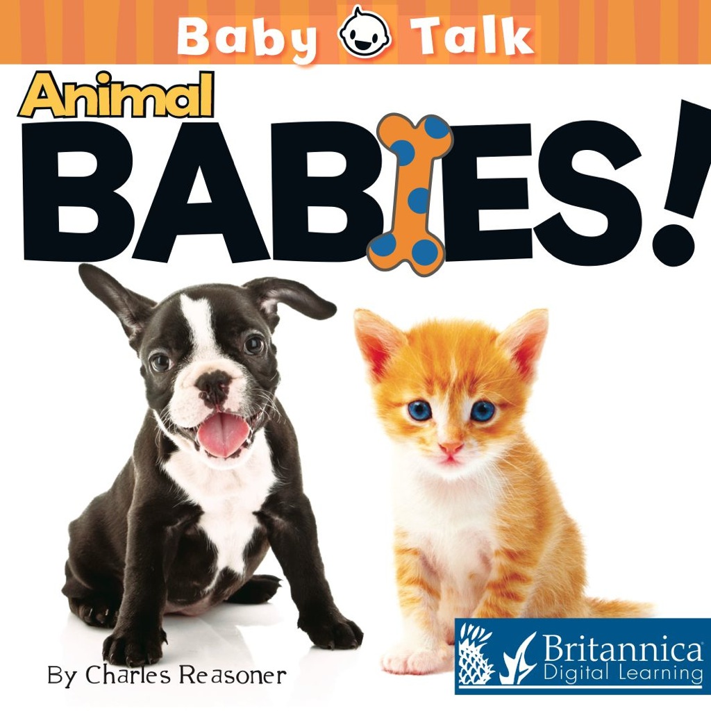 Animal Babies! 1st Edition