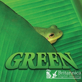 Cover image: Green 1st edition 9781604724370