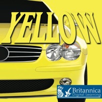Cover image: Yellow 1st edition 9781604724509