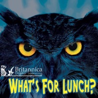 Cover image: What's for Lunch? 1st edition 9781604724479