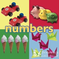 Cover image: Numbers 1st edition 9781606948514