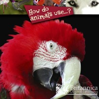 صورة الغلاف: How Do Animals Use…? 1st edition 9781606948477