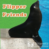 Imagen de portada: Flipper Friends 1st edition 9781604724462
