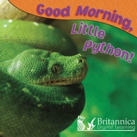 Cover image: Good Morning, Little Python! 1st edition 9781604724295