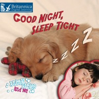 صورة الغلاف: Good Night, Sleep Tight 1st edition 9781615902590