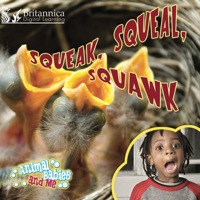 صورة الغلاف: Squeak, Squeal,  Squawk 1st edition 9781615902613