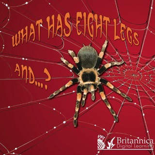 Cover image: What Has Eight Legs and… ? 1st edition 9781604725438