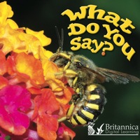 Cover image: What Do You Say? 1st edition 9781604725339