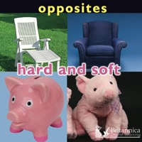 Imagen de portada: Opposites: Hard and Soft 1st edition 9781604724196