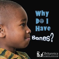 صورة الغلاف: Why Do I Have Bones? 1st edition 9781604725407