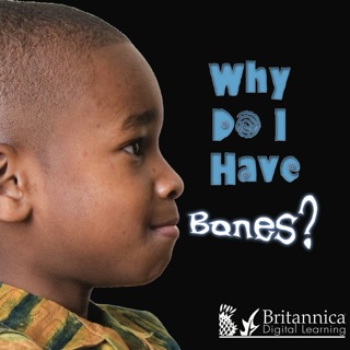 Titelbild: Why Do I Have Bones? 1st edition 9781604725407