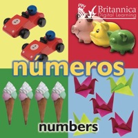 Cover image: Números (Numbers) 1st edition 9781604725513
