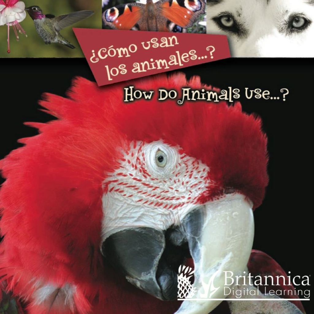 ¿Cómo usan los animales…? (How Do Animals Use…?) 1st Edition