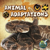 Cover image: Animal Adaptations 1st edition 9781617417337