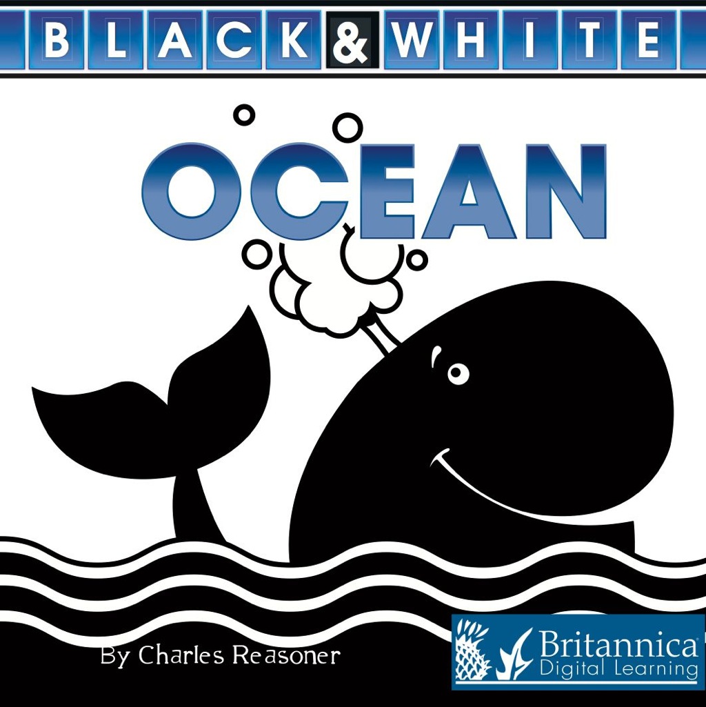 Ocean 1st Edition