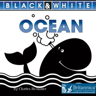 Imagen de portada: Ocean 1st edition 9781617418846