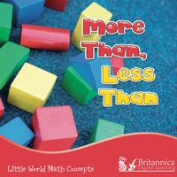 Cover image: More Than, Less Than 1st edition 9781615902910