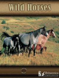 صورة الغلاف: Wild Horses 1st edition 9781600445842