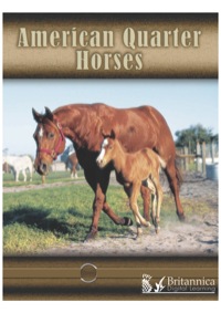 Imagen de portada: American Quarter Horses 1st edition 9781600445798