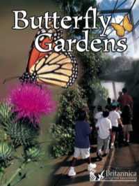 Cover image: Butterfly Gardens 1st edition 9781600445606