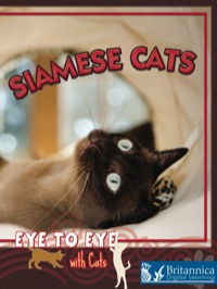 Imagen de portada: Siamese Cats 1st edition 9781606943359