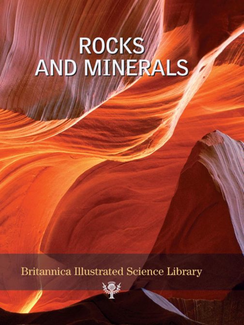 Rocks and Minerals 1st Edition