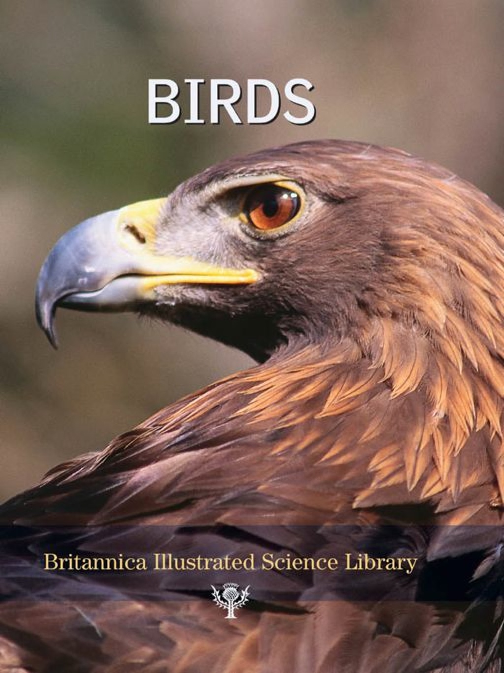 Birds 1st Edition