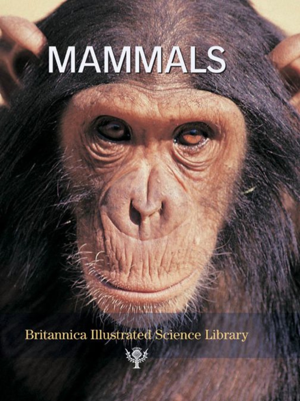 Mammals 1st Edition
