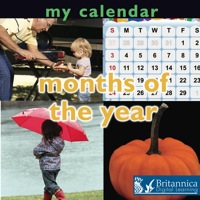 صورة الغلاف: My Calendar: Months of the Year 1st edition 9781604724103